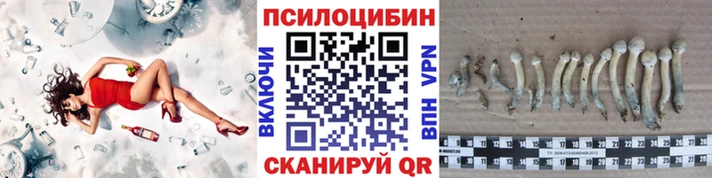 Купить где  Ртищево  Галлюциногенные грибы Psilocybine cubensis 